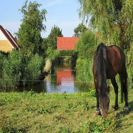 With Enclosed Garden, 19 Km From Hoorn * Andijk