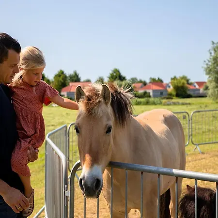 In Friesland With Garden By Water *